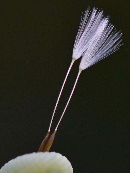 MFX_0289 IG.jpg