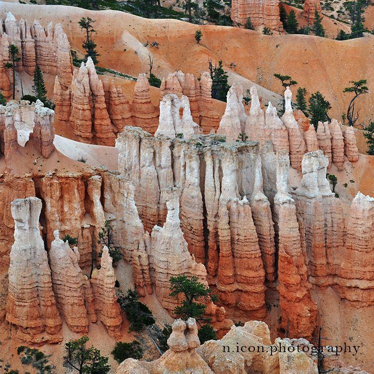 02 02 01 Bryce 2016_136_a1 IG.jpg