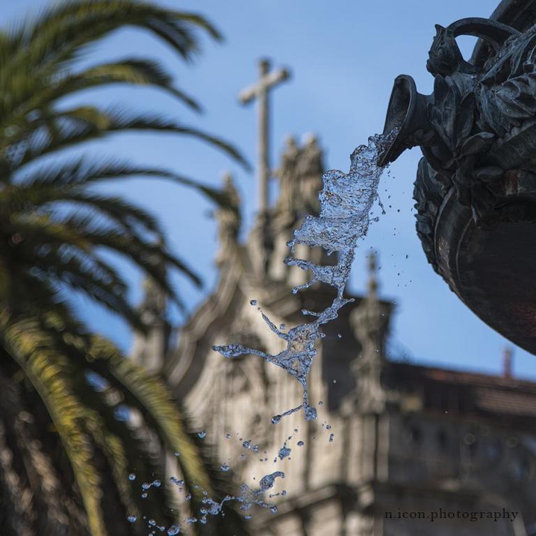 Fountain with Palm and Church 01 IG.jpg